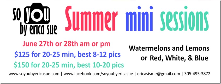 2015 Summer Mini Flyer 3 Info