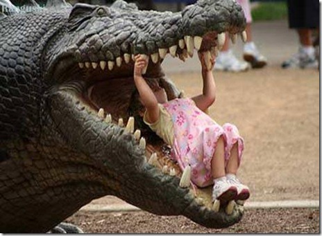 Play garden
