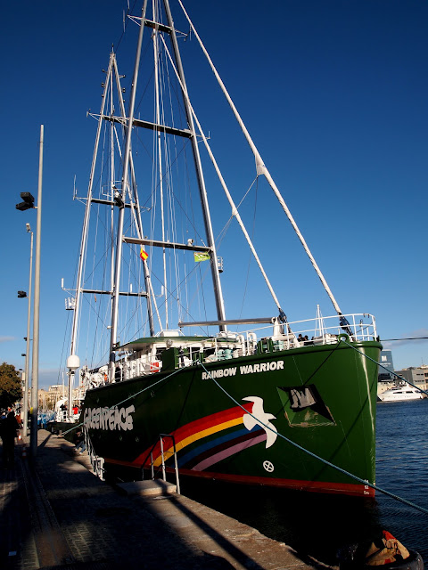 rainbow warrior barcelona daniela