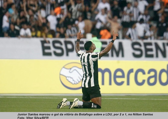 www.seuguara.com.br/Botafogo/Copa Libertadores 2024/