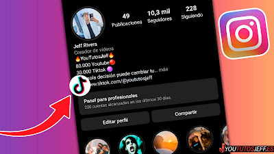 poner tiktok en instagram