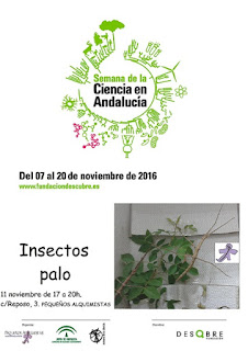 insectos palo