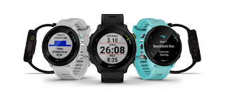 Garmin Forerunner 55 price