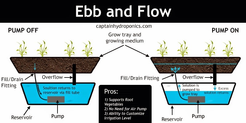 Ebb-and-Flow System