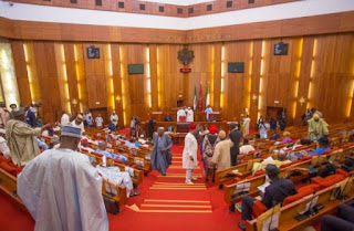 Protests Against SARS Have Yielded Results – Senate