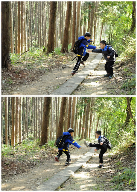  Bamboo Forest at Fushimi Inari