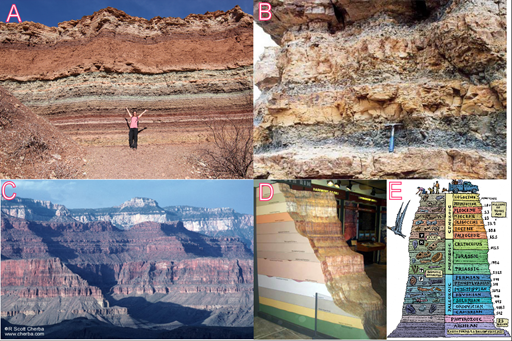 Ejemplos del principio de superposición (A, B, C) en el cual la naturaleza de la Tierra se organiza en capas identificables a simple vista y modelos (D y E) de la escala geológica.
