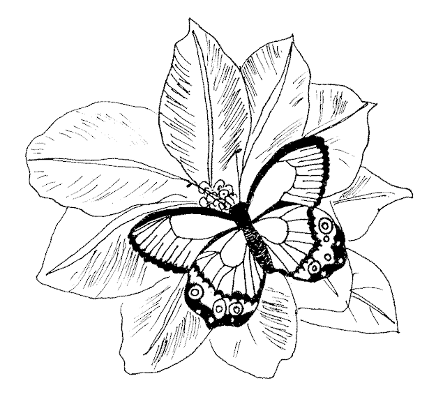 Detailed Coloring Pages For Adults Printable Kids Colouring Pages Flowers  Coloring Pages For Adults Coloring Pages For Adults Abstract Flowers