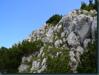 DSCN7373