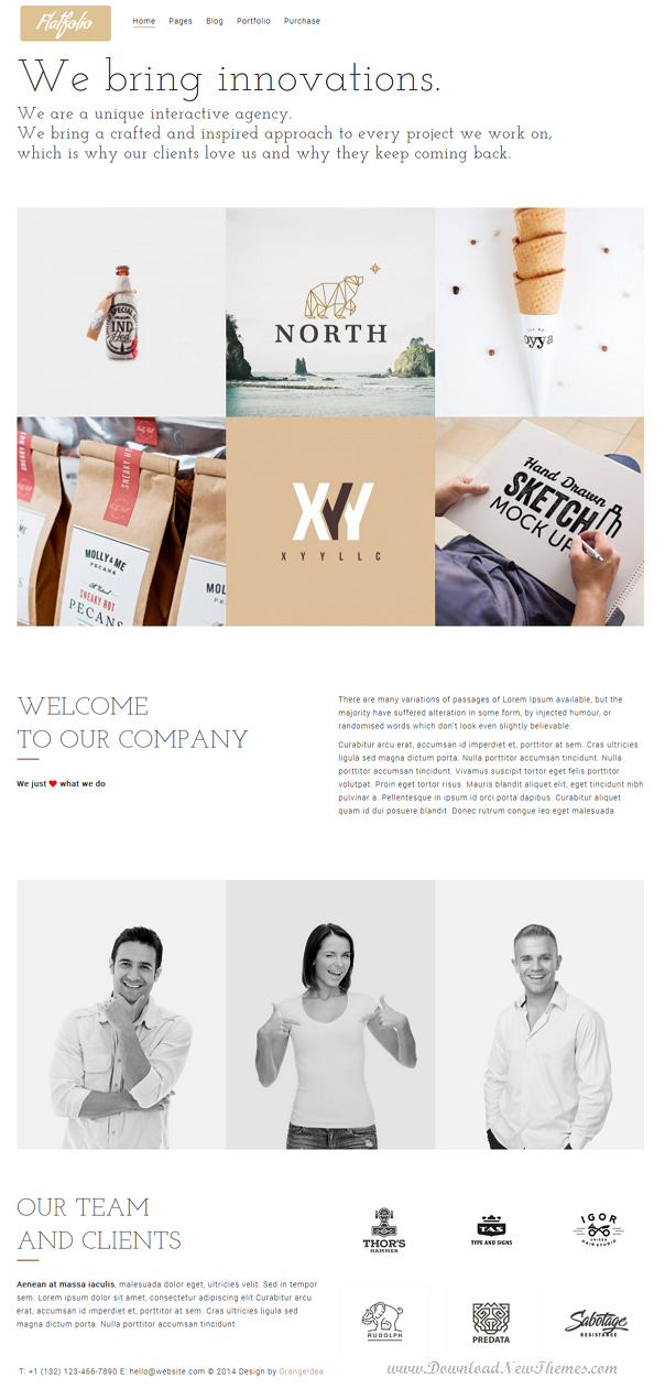 Premium Portfolio and Agency WP Theme 