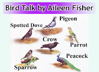 Bird Talk, Class: 5, Lesson: 3, Assam, English, Questions And Answers, Full Notes, SCERT