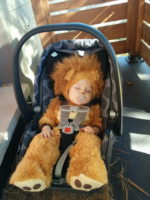 Baby-Lion-Costume-and-lion-tamers-family-costume-harlow-and-thistle-2