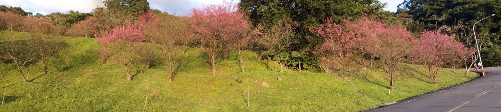 拼接1.jpg