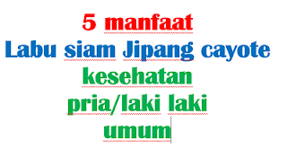 5 manfaat Labu siam Jipang cayote bagi kesehatan pria/laki laki dan umum