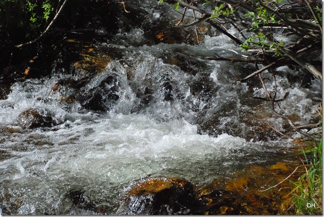 06-23-14 A RMNP Alberta Falls Loop (12)