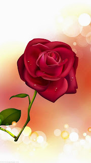 Pink Roses HD desktop wallpaper :