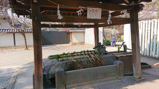 道明寺天満宮(藤井寺市)