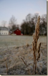 clip_image003