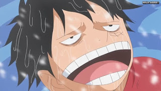 ワンピースアニメ パンクハザード編 586話 ルフィ かわいい Monkey D. Luffy | ONE PIECE Episode 586