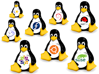  Jika awalnya kau yakni user windows dan ingin berpindah ke open source Jenis Jenis Partisi Dalam Linux