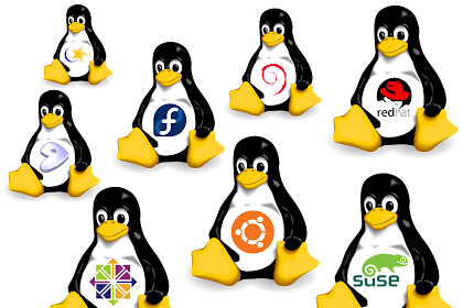 Jenis Jenis Partisi Dalam Linux