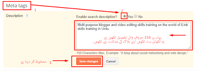 Blogger skills training on ilink Urdu