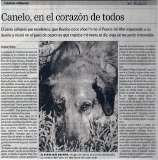 Las 5 historias de perros fieles y algunos estudios sobre su sexto sentido: Canelo - Cádiz, España