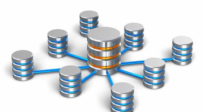 IMPORTANCIA DE LAS BASES DE DATOS, MODELOS DE DATOS Y UTILIZACIÓN DE LAS BASES DE DATOS EN UNA ORGANIZACIÓN