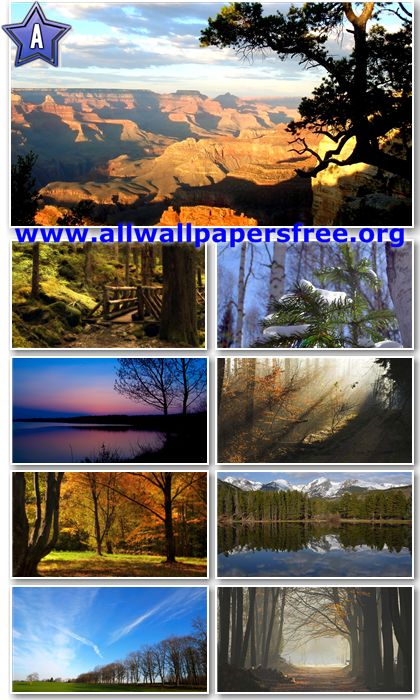 wallpapers 1080p. 50 Trees Wallpapers 1080p Set