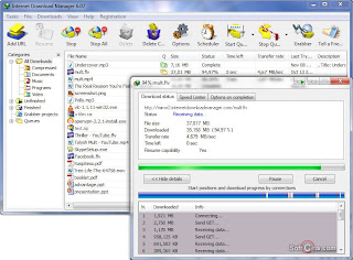 Internet download manager snapshot 