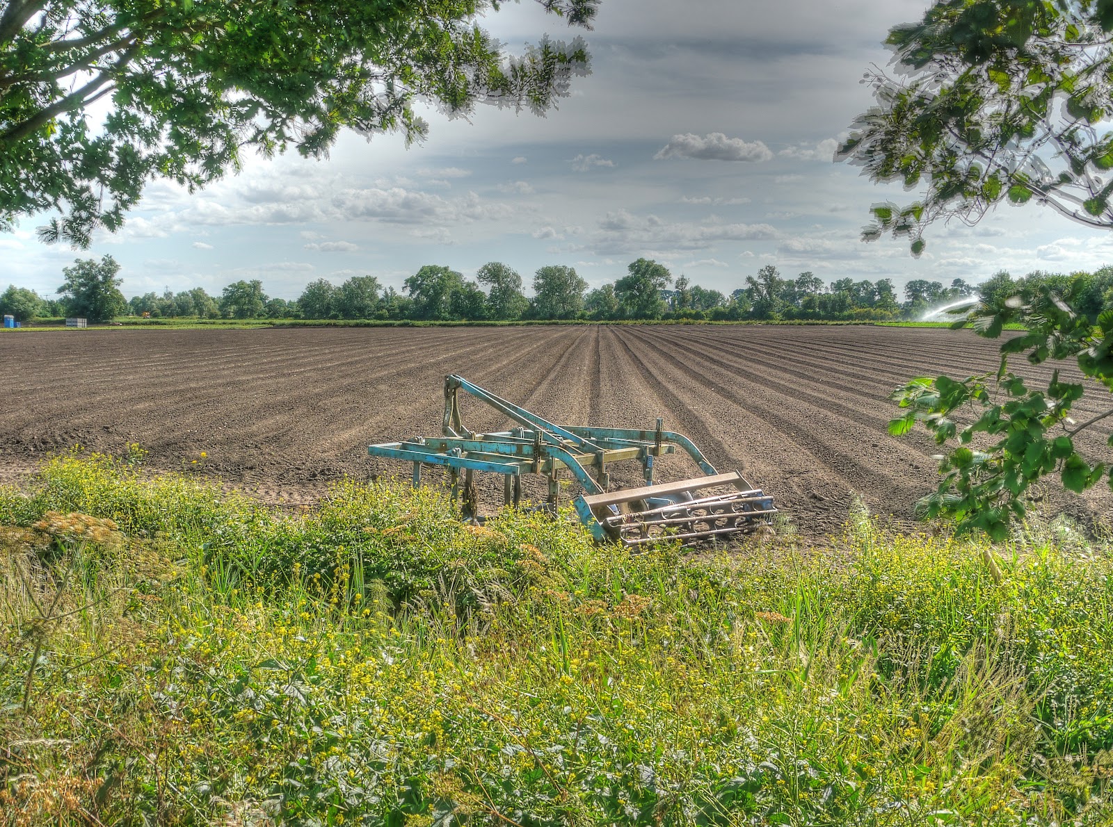 P1140333_1_2_tonemapped.jpg