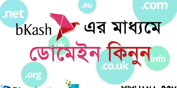 বিকাশ দিয়ে ডোমেইন কিনুন বিশ্বস্থতার সাথে - Buy a domain with bKash faithfully