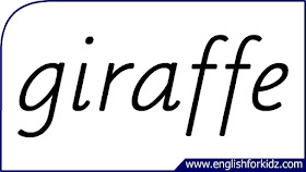 giraffe flashcard, single word