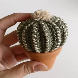 PATRON CACTUS AMIGURUMI 27856