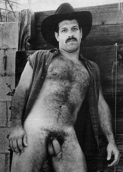 daily men 41 vintage gay hairy daddies at 104 PM