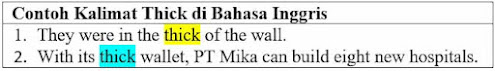 21 Contoh Kalimat Thick di Bahasa Inggris