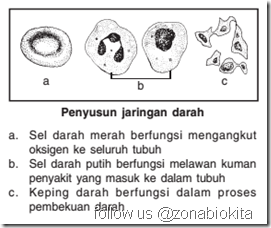 Jaringan darah