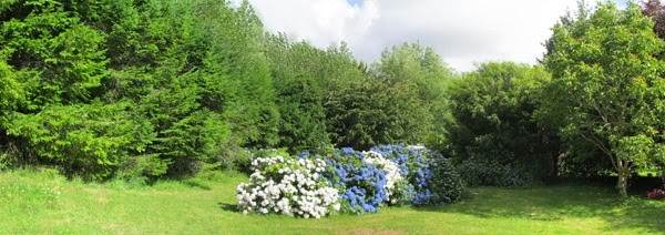 pano3