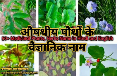 औषधीय पौधों के वैज्ञानिक नाम | 50+ Medicinal Plants, Herbs Name in Hindi and English