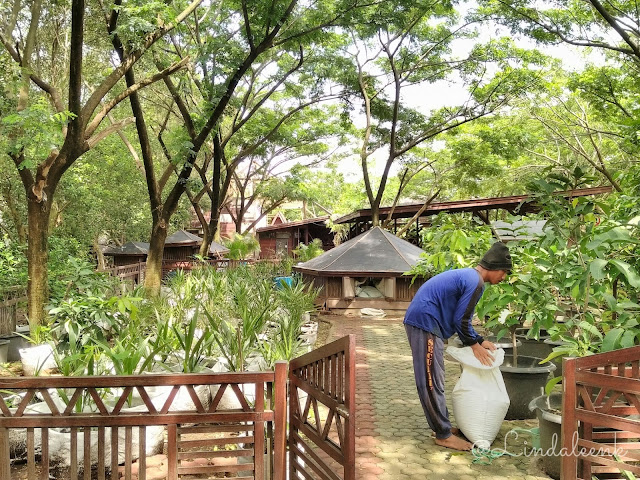 Taman Wisata Mangrove Pantai Indah Kapuk