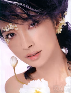 Li Bingbing 李冰冰