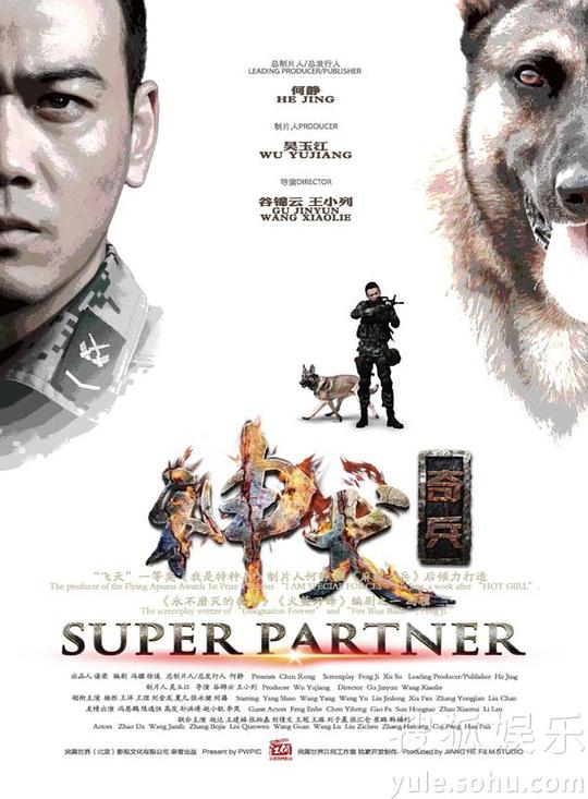 Super Partner China Drama