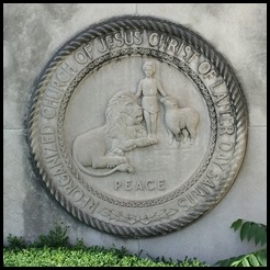 IMG_5594
