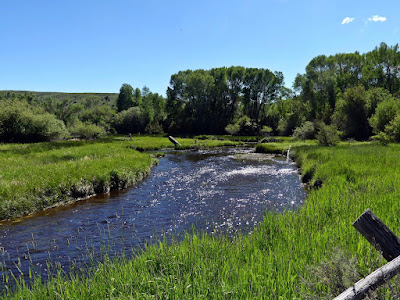 Grashoffer Creek