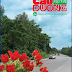 Tạp chí Cầu đường Việt Nam- số tháng 6/2014