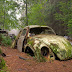سيارات مهجورة في غابة منذ 1950