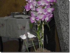 DSCF3486