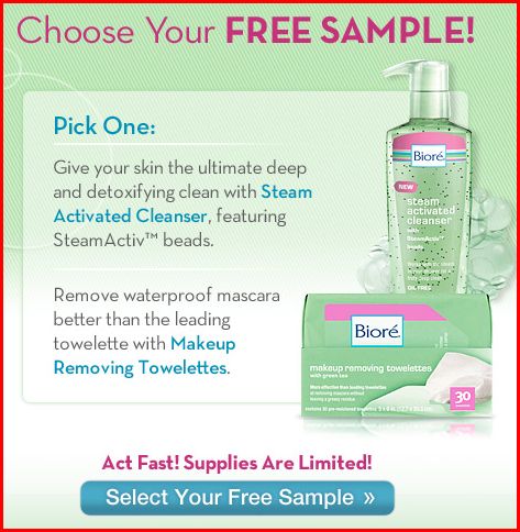 Free Sample Biore' Steam Cleanser or Makeup Towelettes-Expired