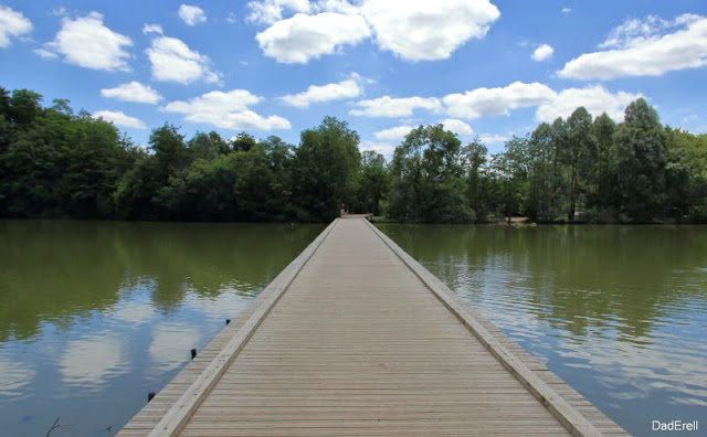 Passerelle sur un étang du Parc des Oiseaux de Villars-les-Dombes