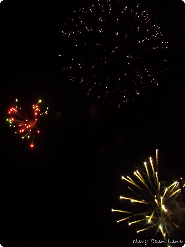 DSC03260